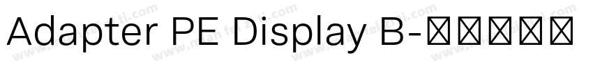 Adapter PE Display B字体转换